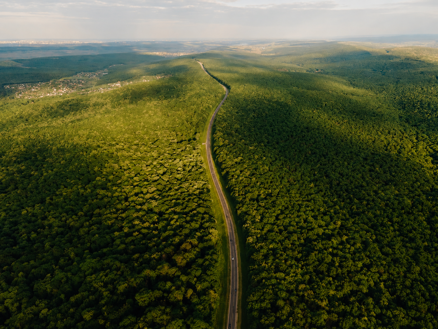 Aerial view of road and forest infrastructure